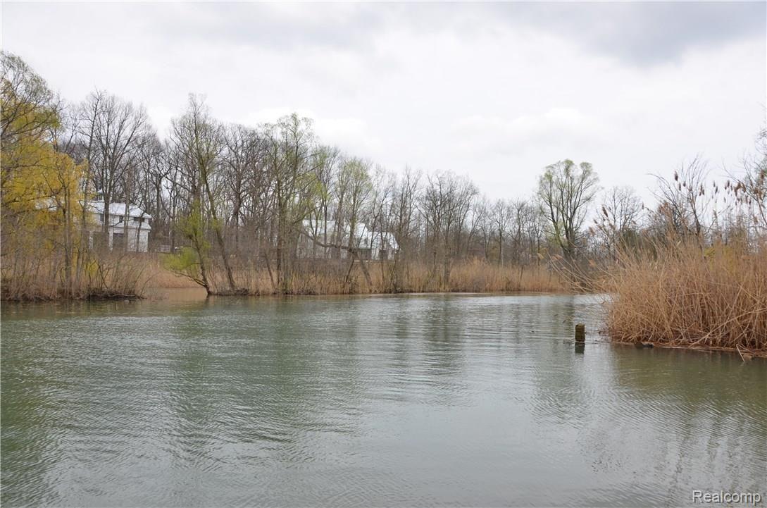 22827 Meridian Road Grosse Ile, MI 48138 - Photo 5 of 21 DSC_2533.JPG