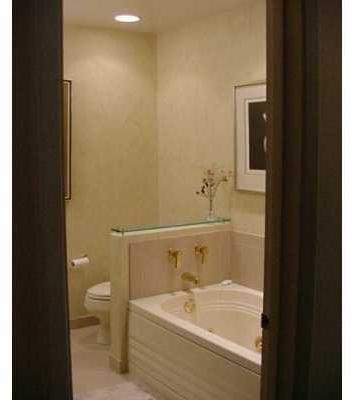 2443 Mt Royal Road Pittsburgh, PA 15217 - Photo 8 of 8 Master Bath/Spa.