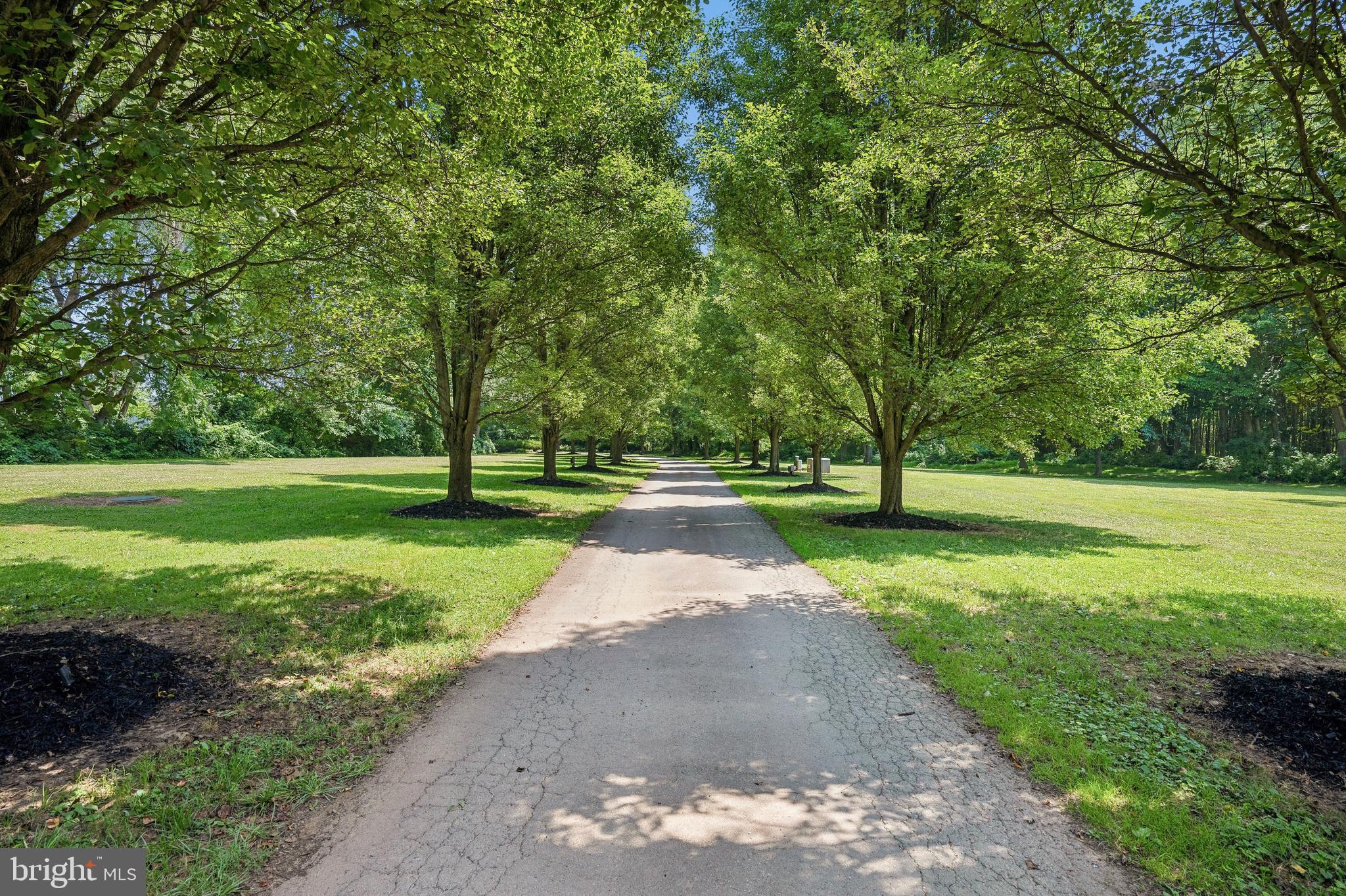 55 Greenmount Road Rising Sun, MD 21911 - Photo 4 of 105 Freshly manicured private drive.