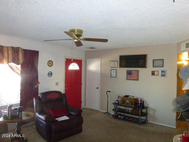 433 Hartford Road Kearny, AZ 85137 - Photo 5 of 32 P1040915