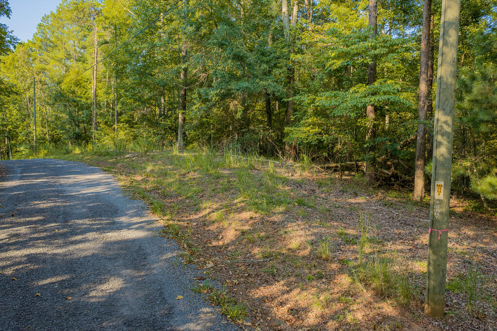 Lot 1709 Rebekah Ridge Road Talking Rock, GA 30175 - Photo 5 of 23 Gallery Image 5