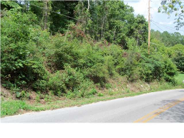 900 Roach Hollow Road Ringgold, GA 30736 - Photo 3 of 3 Additional Photo