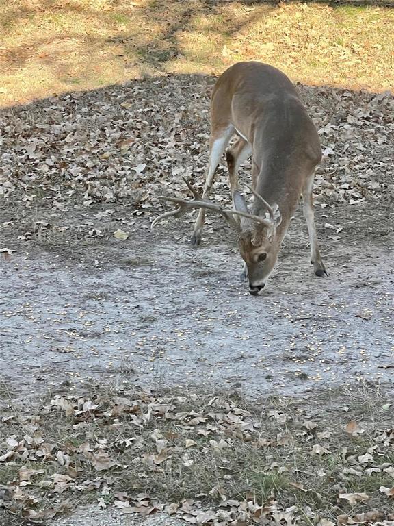 3667 Oak Circle Weatherford, TX 76088 - Photo 35 of 35 Exterior view