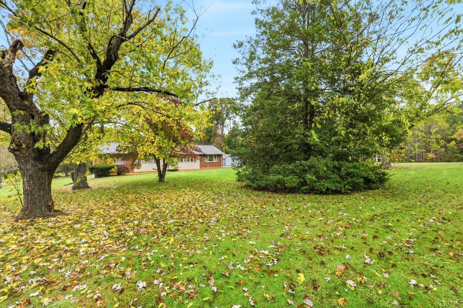 1760 Wickliffe Road Brookneal, VA 24528 - Photo 35 of 40 a view of backyard with tree