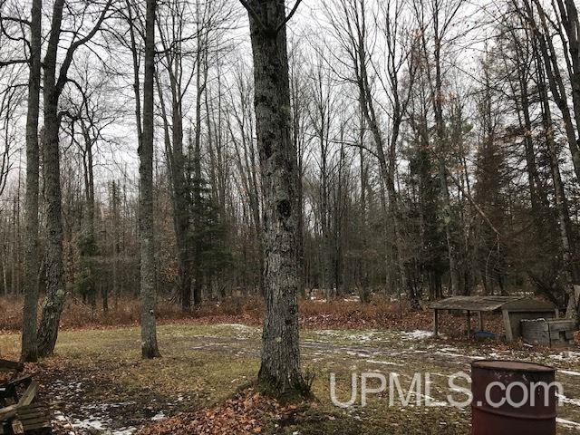 473 Balsam Road Crystal Falls, MI 49920 - Photo 9 of 25 Gallery Image 9