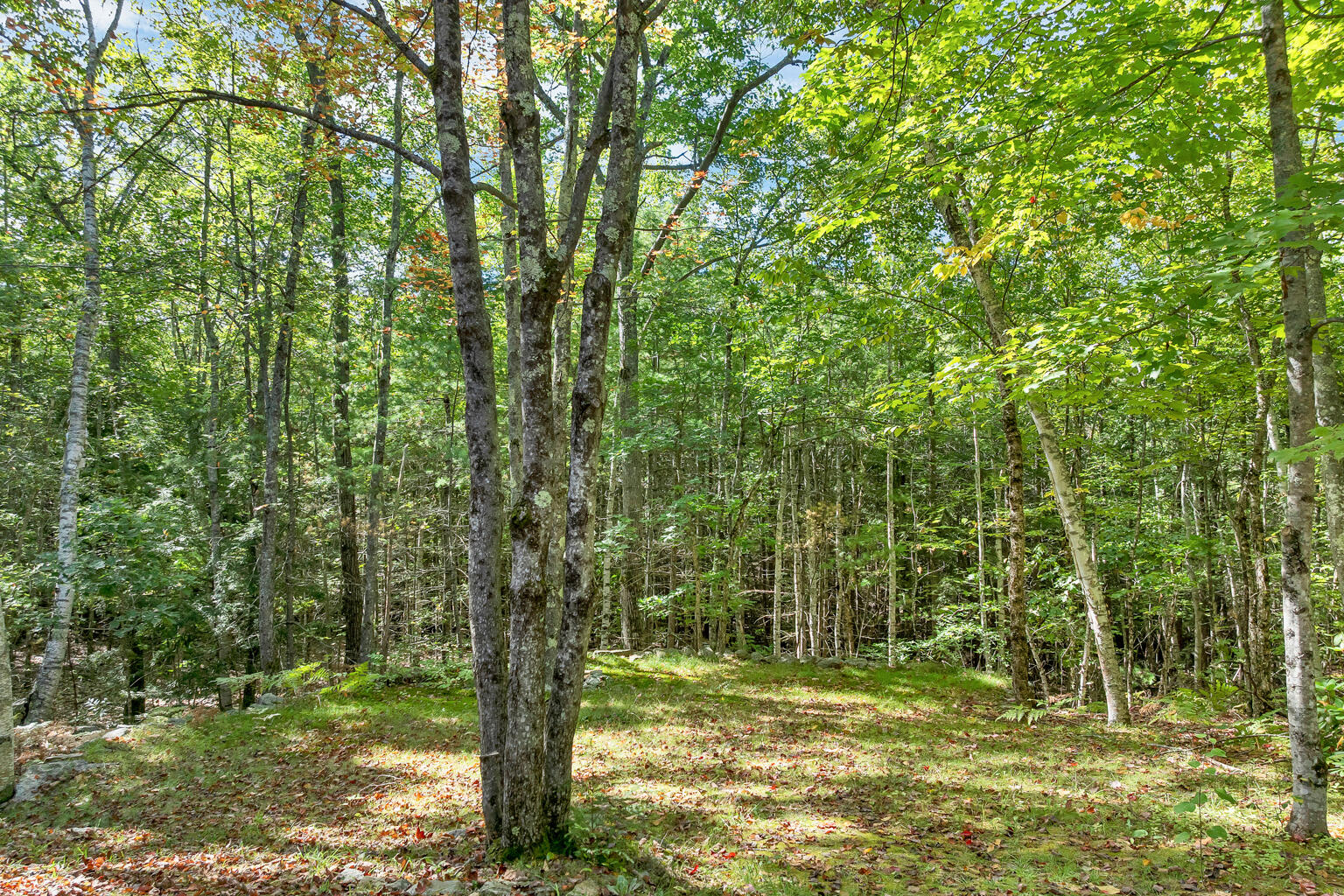 160 Bagley Road Waterboro, ME 04030 - Photo 5 of 44 160BagleyRd-025