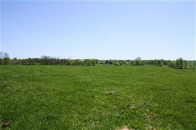 199 White Oak Road Stamping Ground, KY 40379 - Photo 5 of 5 Photo 5