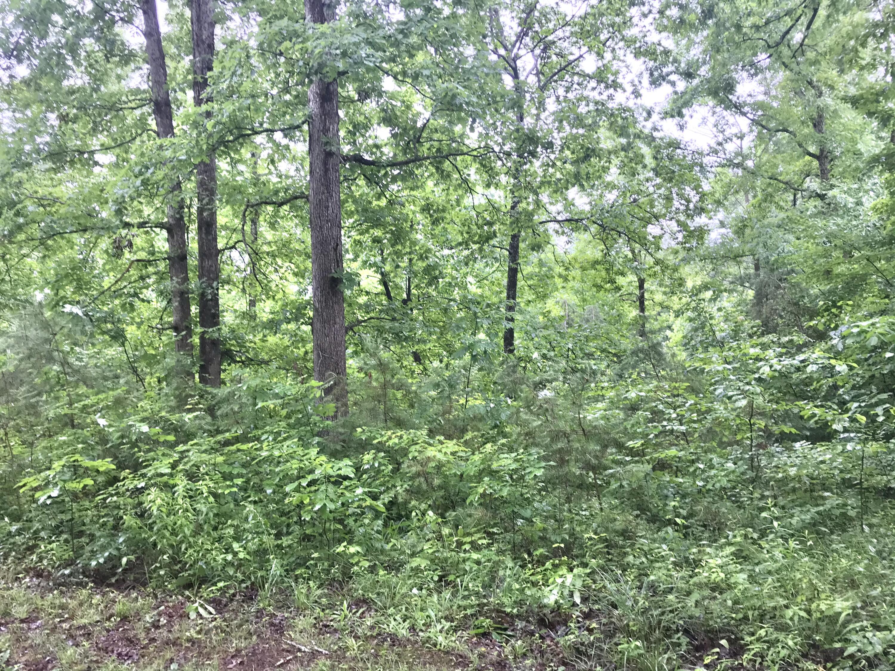 1512 Cub Run Road Wellington, KY 40387 - Photo 30 of 32 B311C223-0305-40EC-9913-415668518909
