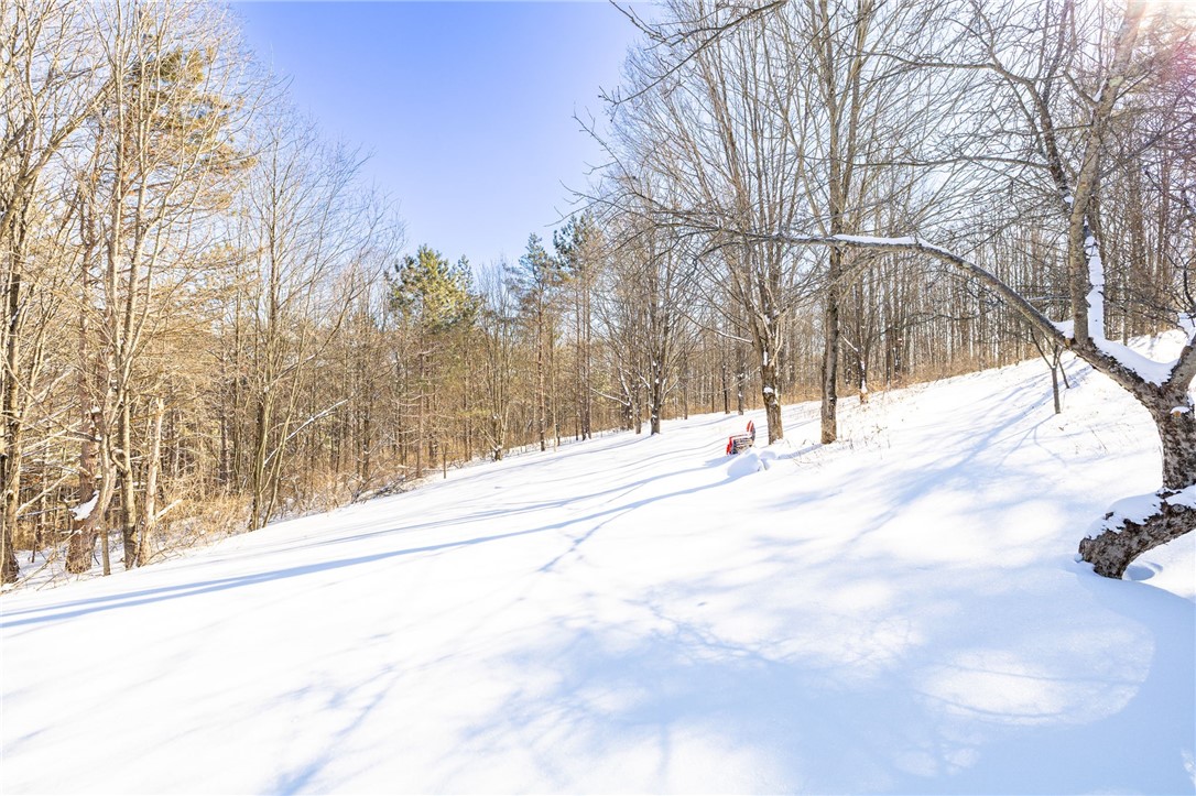 5998 Cook School Road Prattsburgh, NY 14873 - Photo 31 of 50