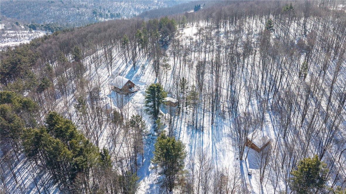 5998 Cook School Road Prattsburgh, NY 14873 - Photo 39 of 50