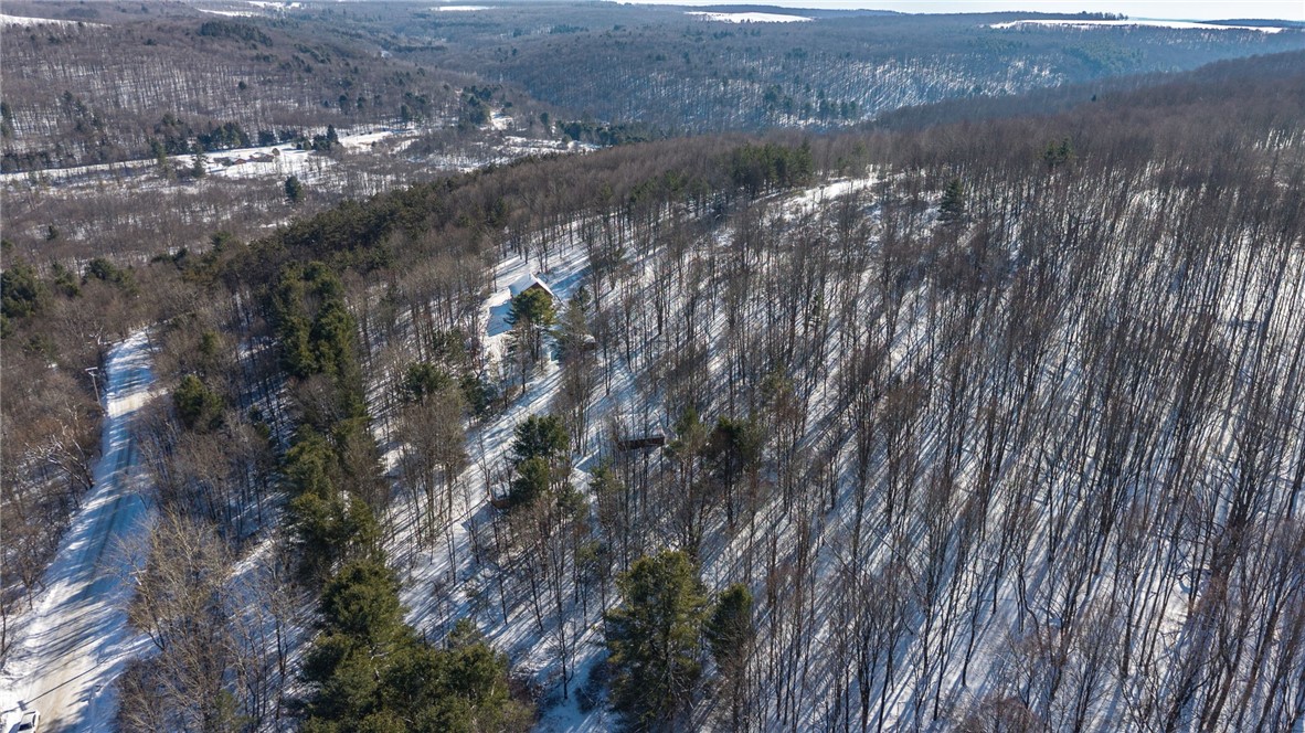 5998 Cook School Road Prattsburgh, NY 14873 - Photo 42 of 50