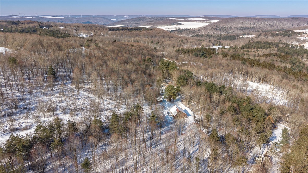 5998 Cook School Road Prattsburgh, NY 14873 - Photo 46 of 50