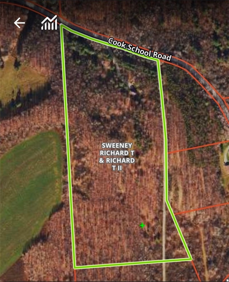 5998 Cook School Road Prattsburgh, NY 14873 - Photo 50 of 50