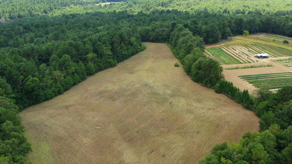 182 New Bridge Road Aiken, SC 29801 - Photo 9 of 18