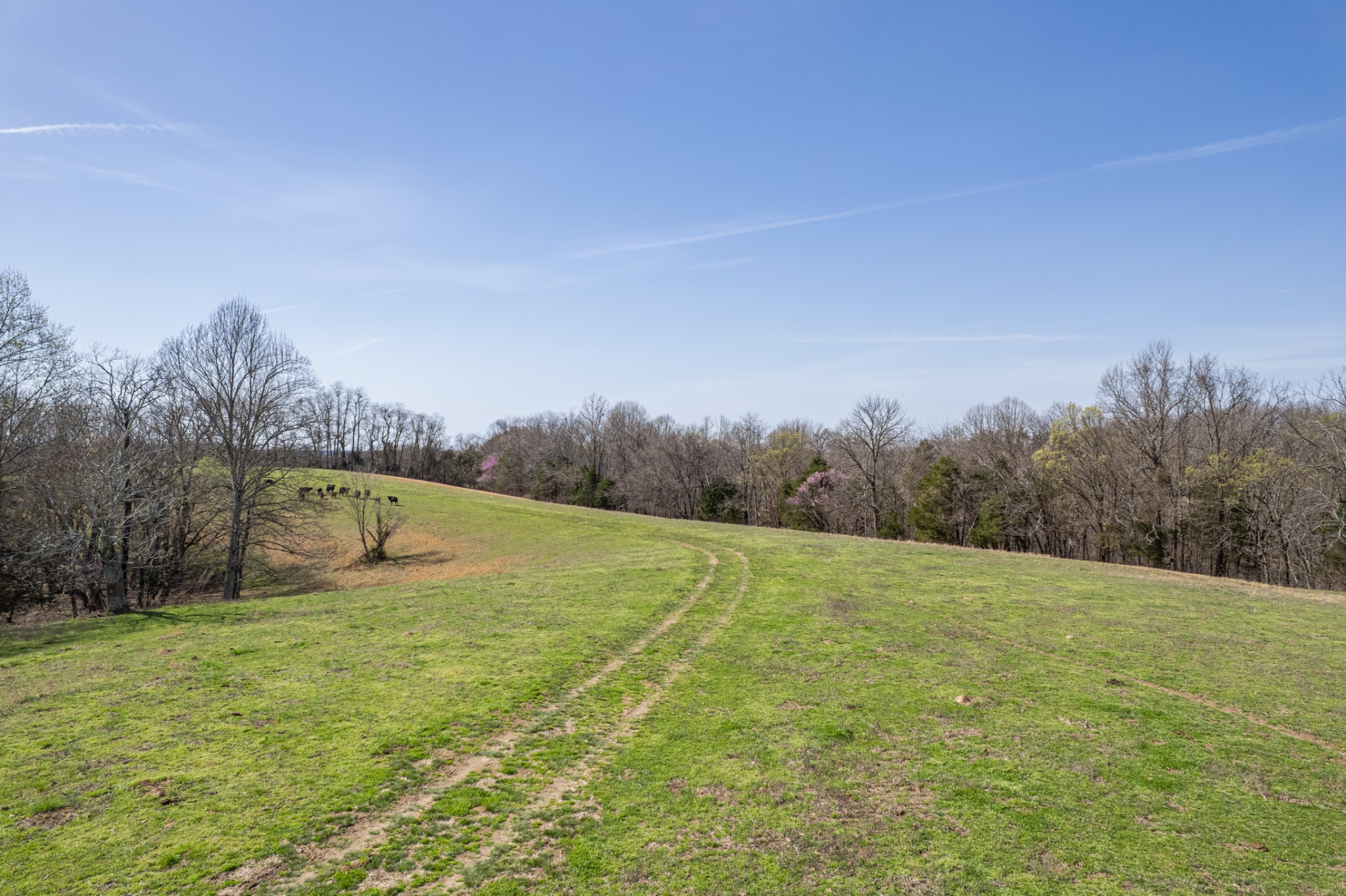 2675 Red Nix Road Cornersville, TN 37047 - Photo 34 of 52 Gallery Image 34