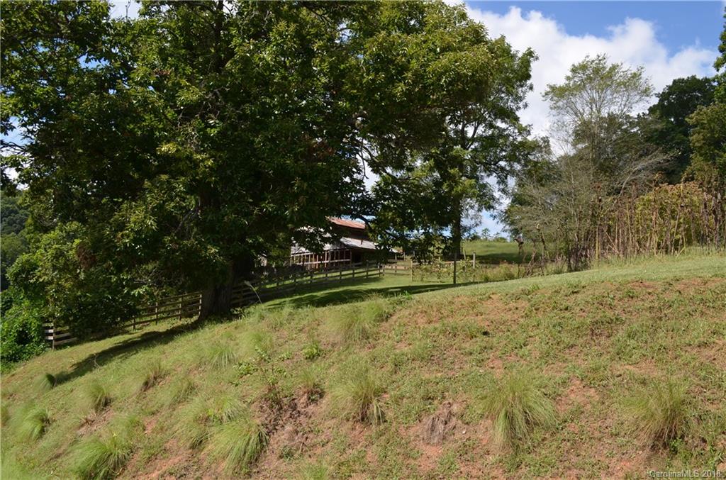 254 Bailey Road Candler, NC 28715 - Photo 4 of 24 Gallery Image 4