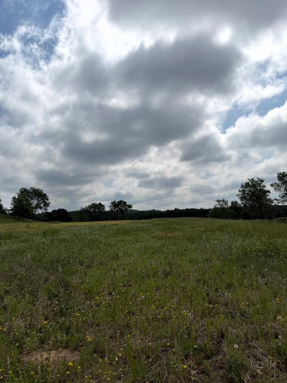 Lot 2 County Road Boyceville, WI 54725 - Photo 9 of 12