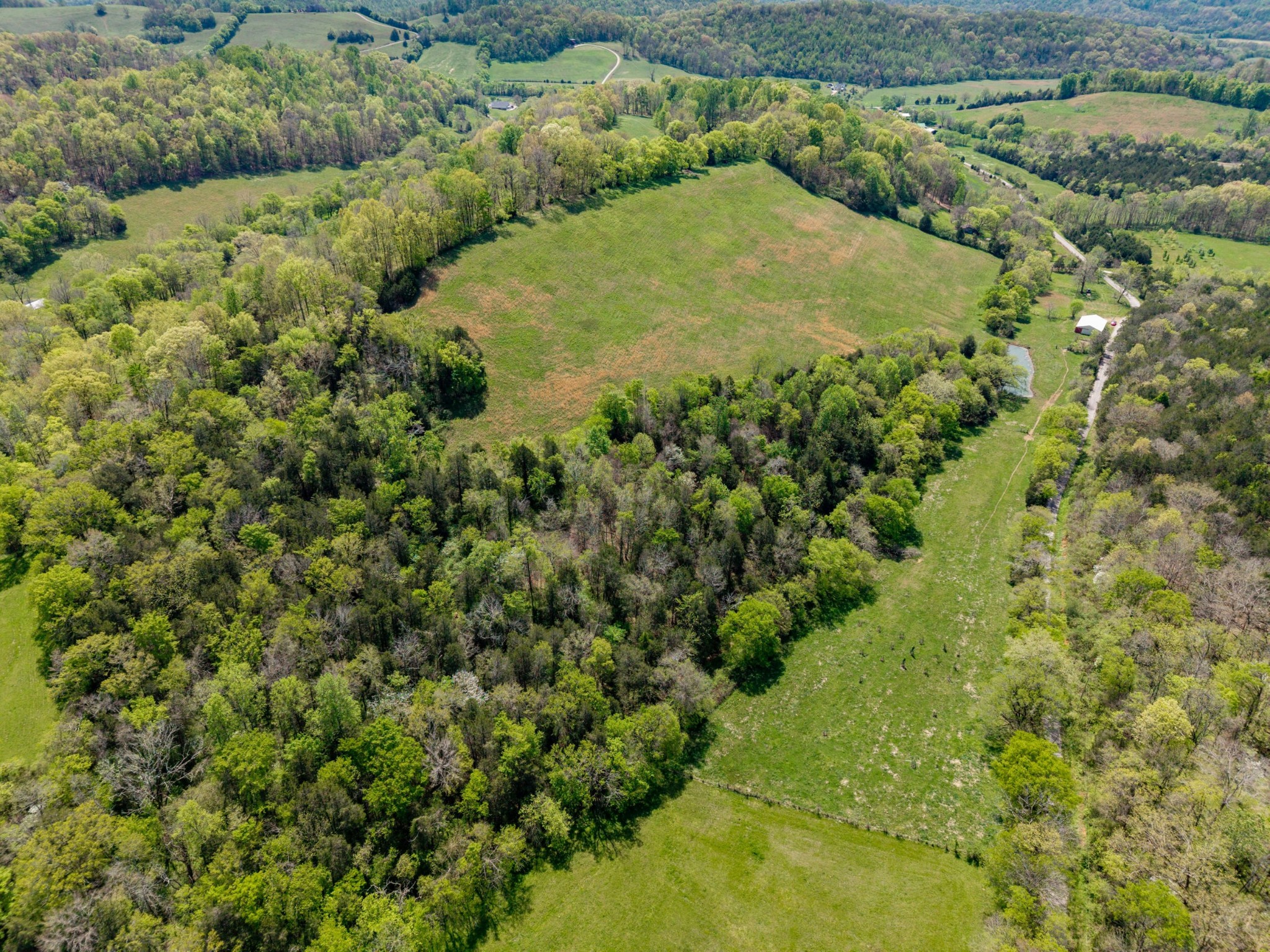 305 Ingram Road Pulaski, TN 38478 - Photo 10 of 29