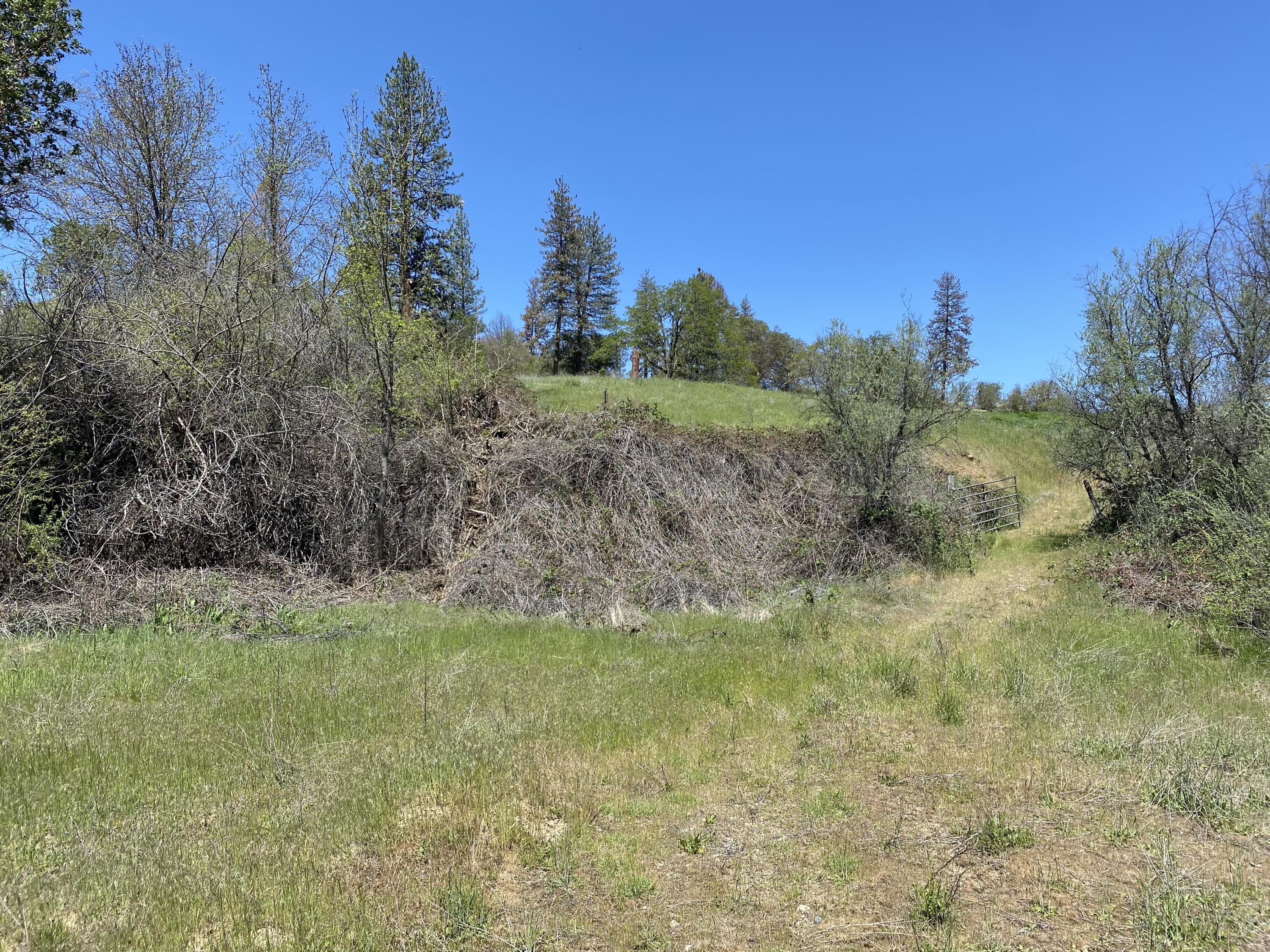 North Applegate Road Jacksonville, OR 97530 - Photo 16 of 51 from home site area to entry road