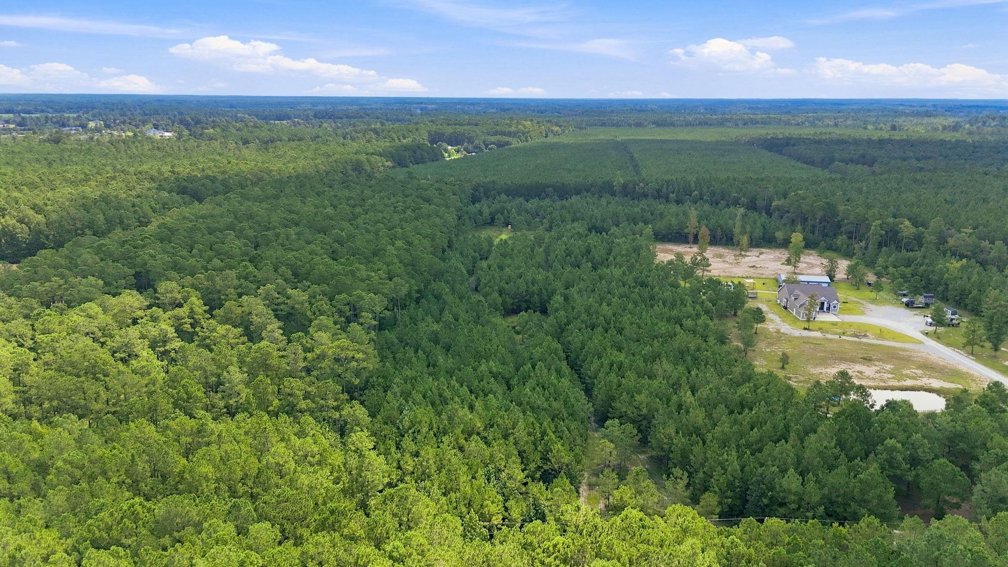 1257 West G Road Conway, SC 29526 - Photo 3 of 15 Gallery Image 3