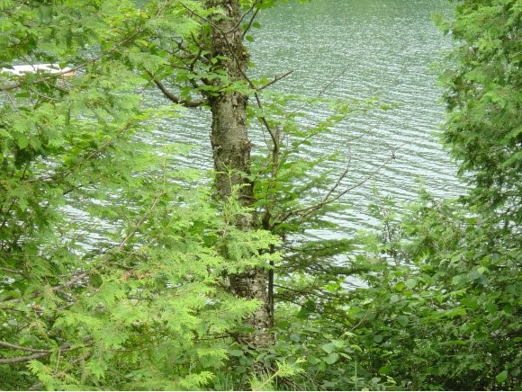 - Hartwell Pond Road Barton, VT 05839 - Photo 1 of 1