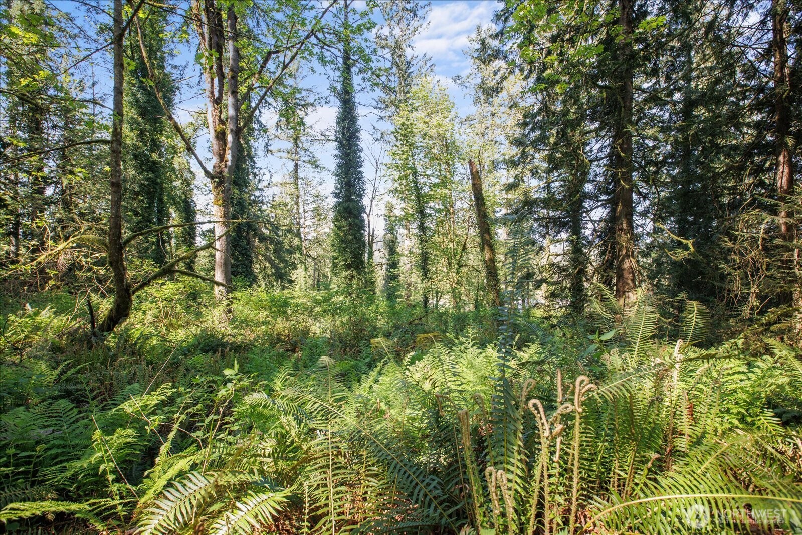 29220 Southeast Issaquah-Fall City Road Fall City, WA 98024 - Photo 11 of 22