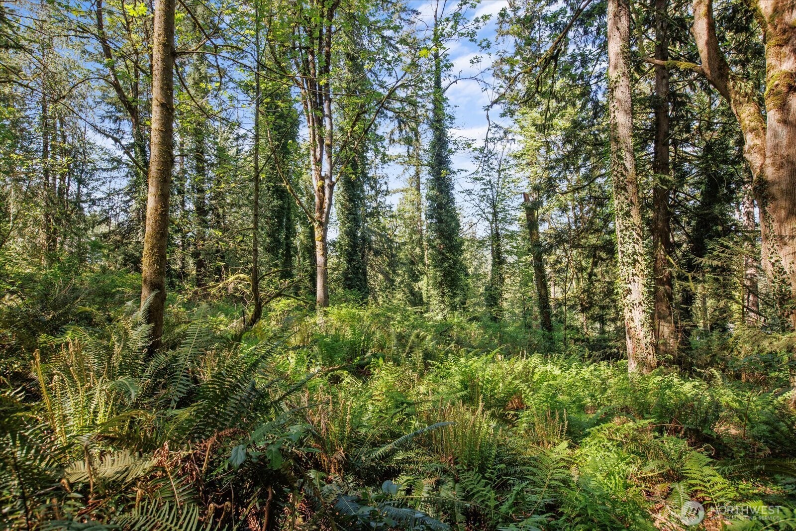 29220 Southeast Issaquah-Fall City Road Fall City, WA 98024 - Photo 12 of 22