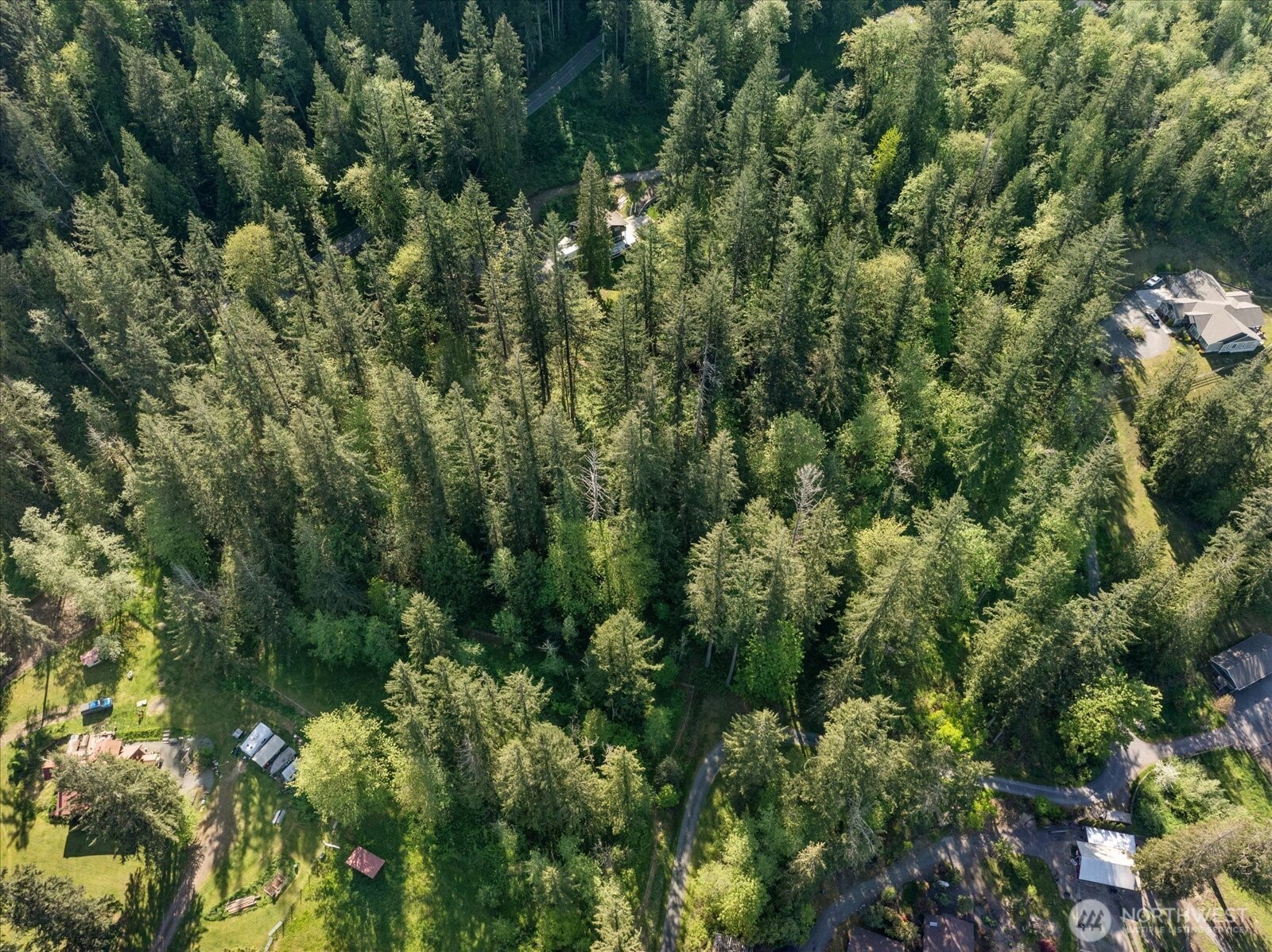 29220 Southeast Issaquah-Fall City Road Fall City, WA 98024 - Photo 14 of 22