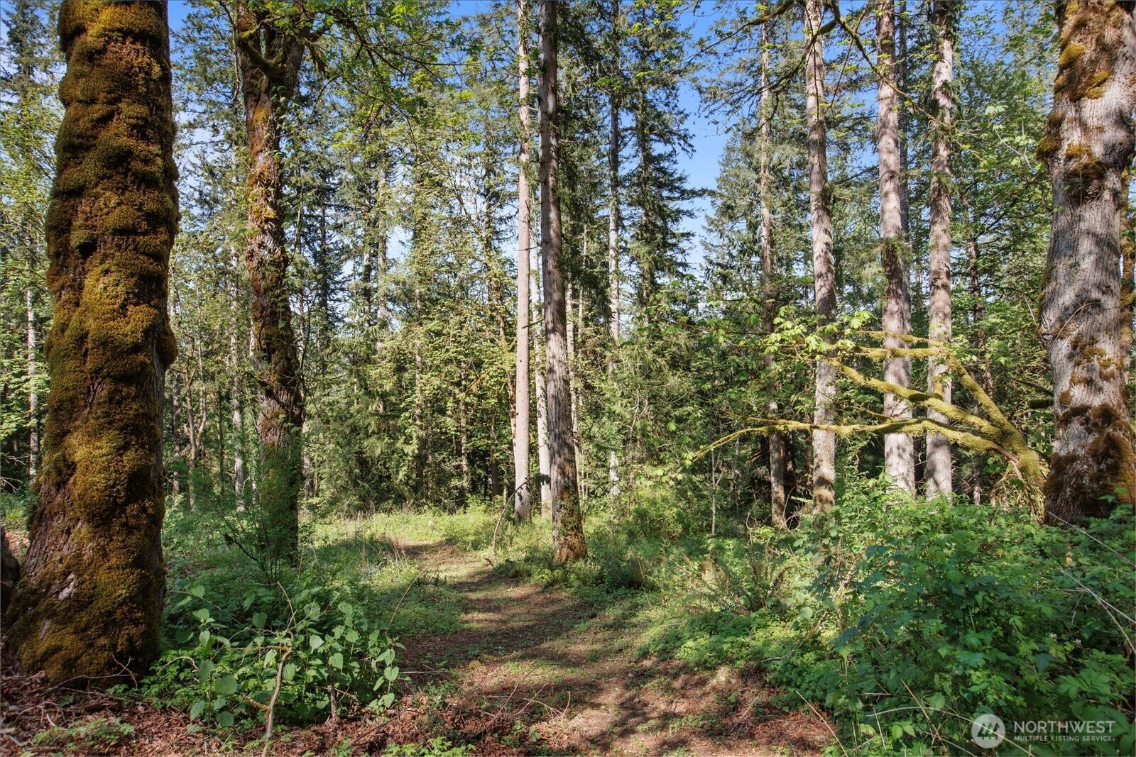 29220 Southeast Issaquah-Fall City Road Fall City, WA 98024 - Photo 2 of 22