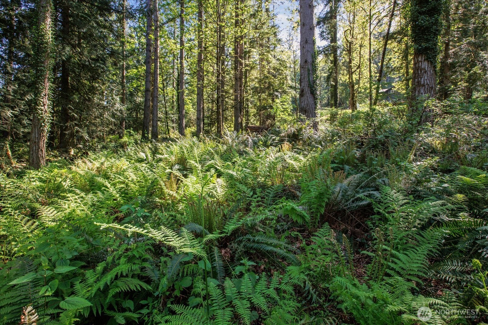 29220 Southeast Issaquah-Fall City Road Fall City, WA 98024 - Photo 6 of 22