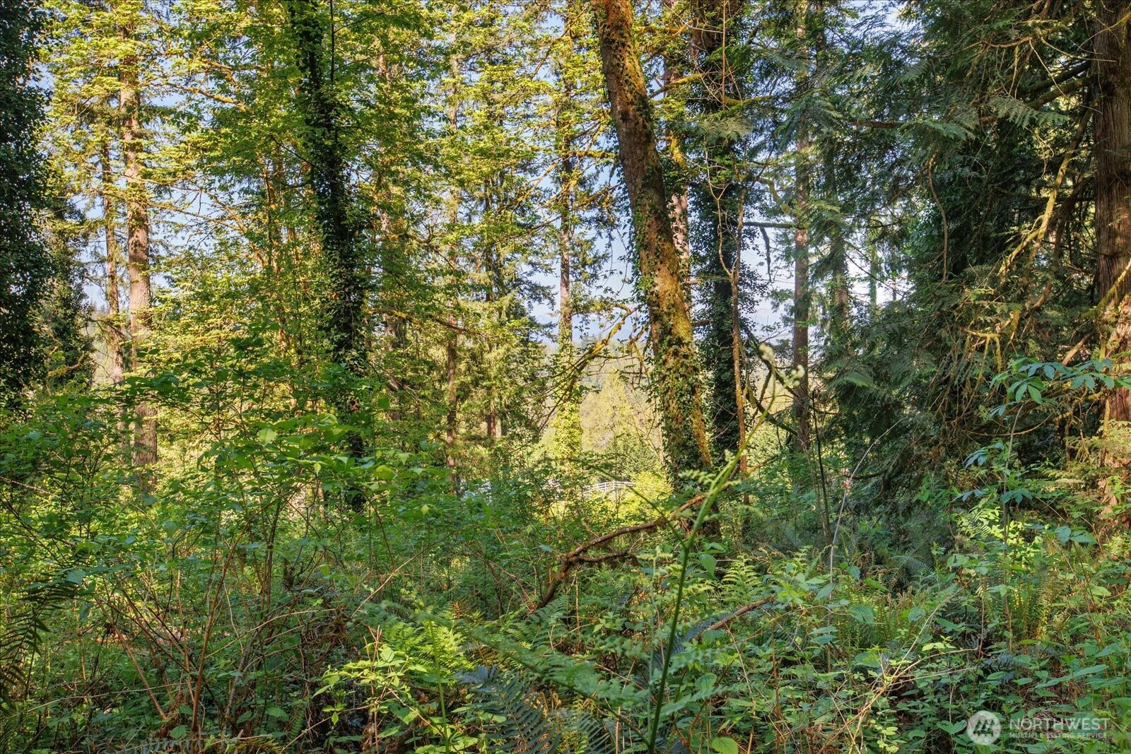 29220 Southeast Issaquah-Fall City Road Fall City, WA 98024 - Photo 7 of 22