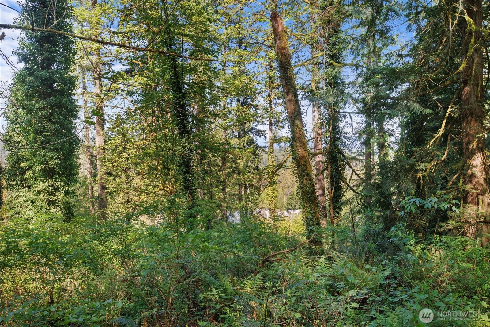 29220 Southeast Issaquah-Fall City Road Fall City, WA 98024 - Photo 8 of 22