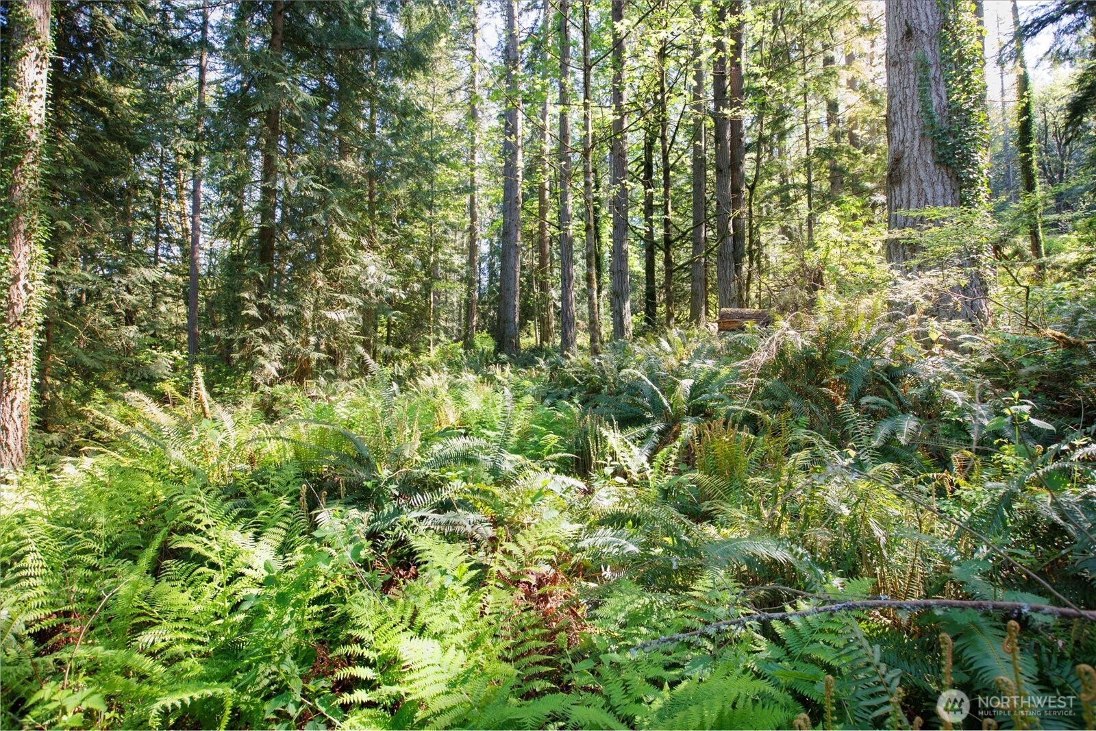 29220 Southeast Issaquah-Fall City Road Fall City, WA 98024 - Photo 9 of 22