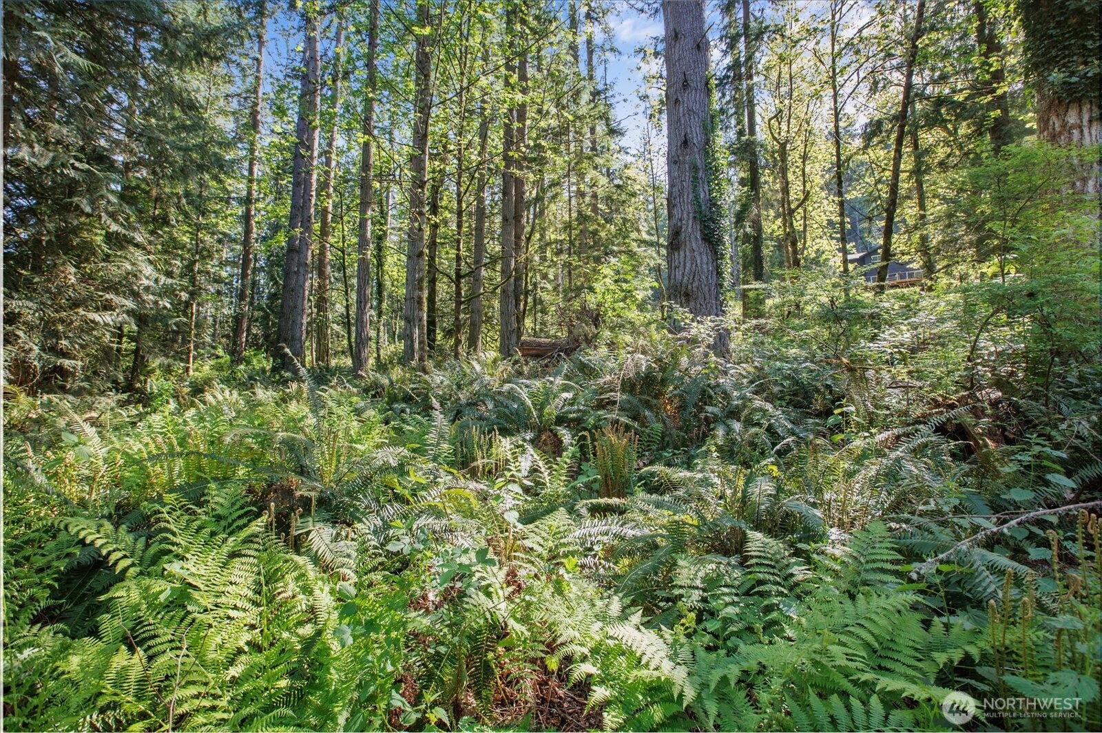 29220 Southeast Issaquah-Fall City Road Fall City, WA 98024 - Photo 10 of 22