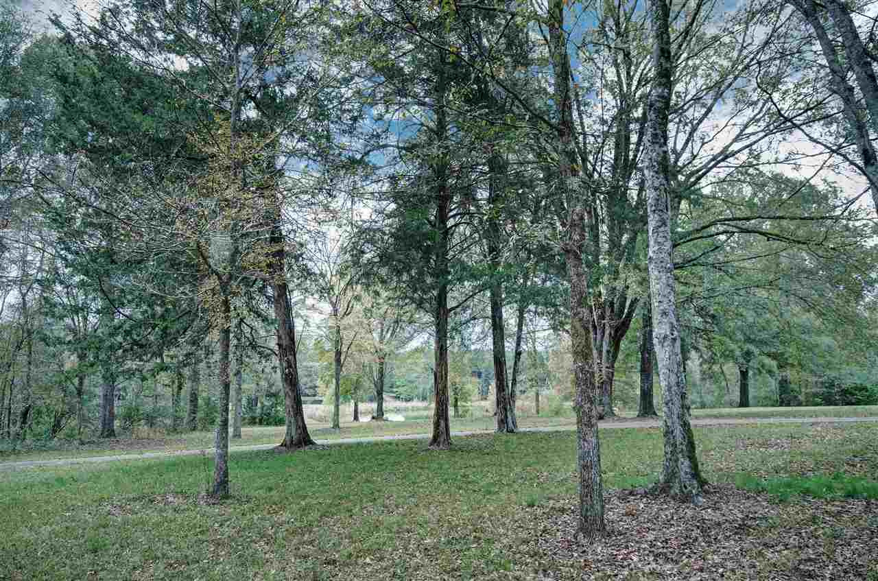 7015 Jimmy Williams Road Clinton, MS 39056 - Photo 23 of 28 Photo 23