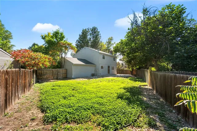 a view of a yard with plants