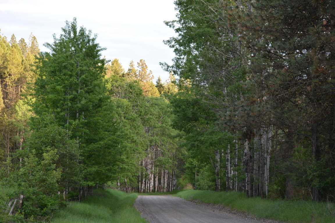 3619 Beck Road Rice, WA 99167 - Photo 3 of 20