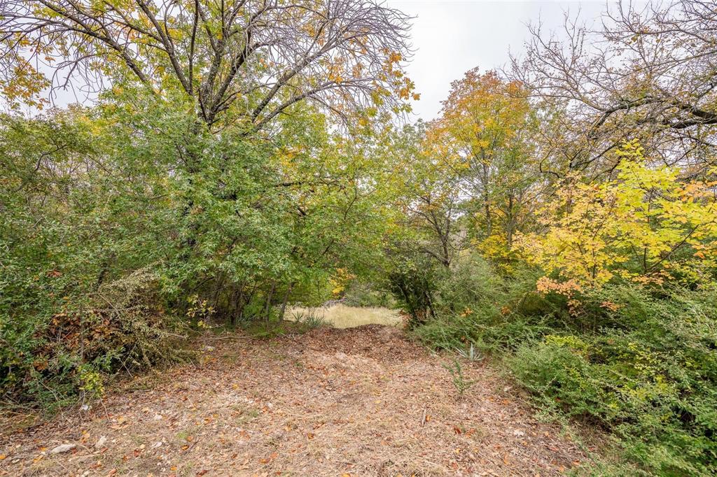 409 Rocky Ridge Terrace Lakeside, TX 76108 - Photo 8 of 11