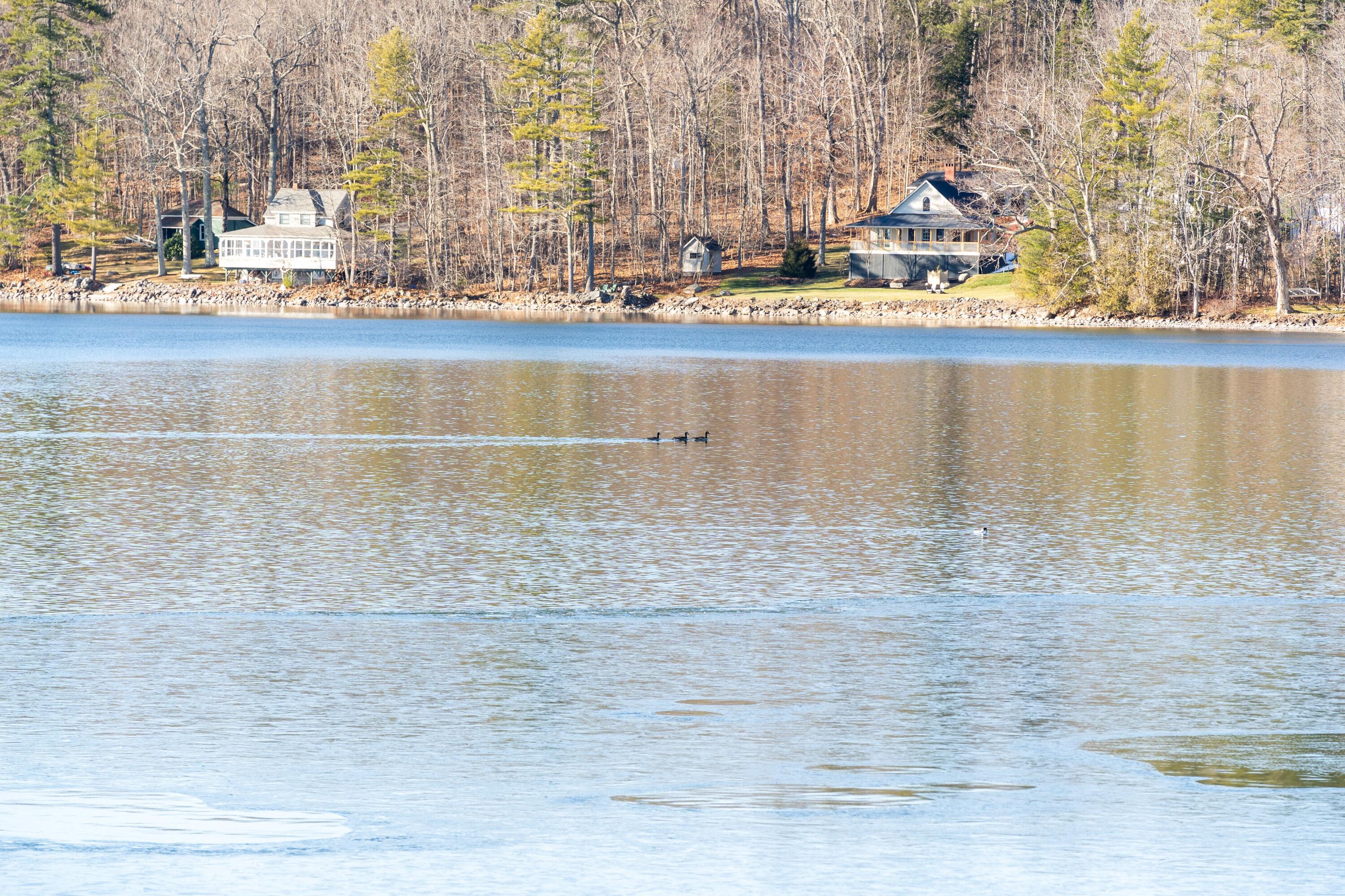 53 Welch Point Road Winthrop, ME 04364 - Photo 42 of 65 DSC03240