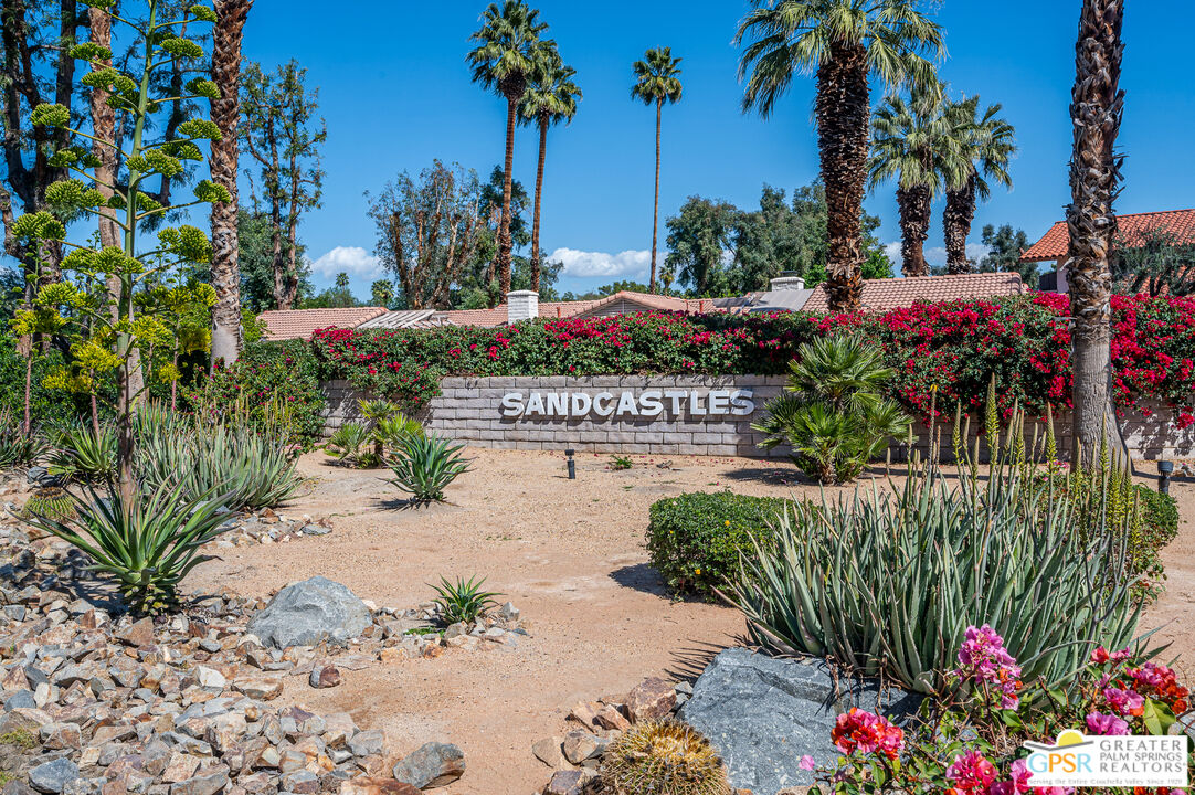 6000 East Driver Road Palm Springs, CA 92264 - Photo 36 of 40 a picture of plants