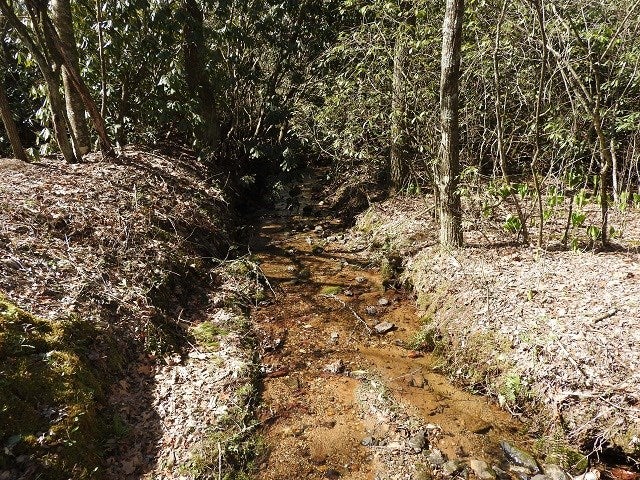 132 Hollow Tree Road Laurel Fork, VA 24352 - Photo 26 of 45 Gallery Image 26