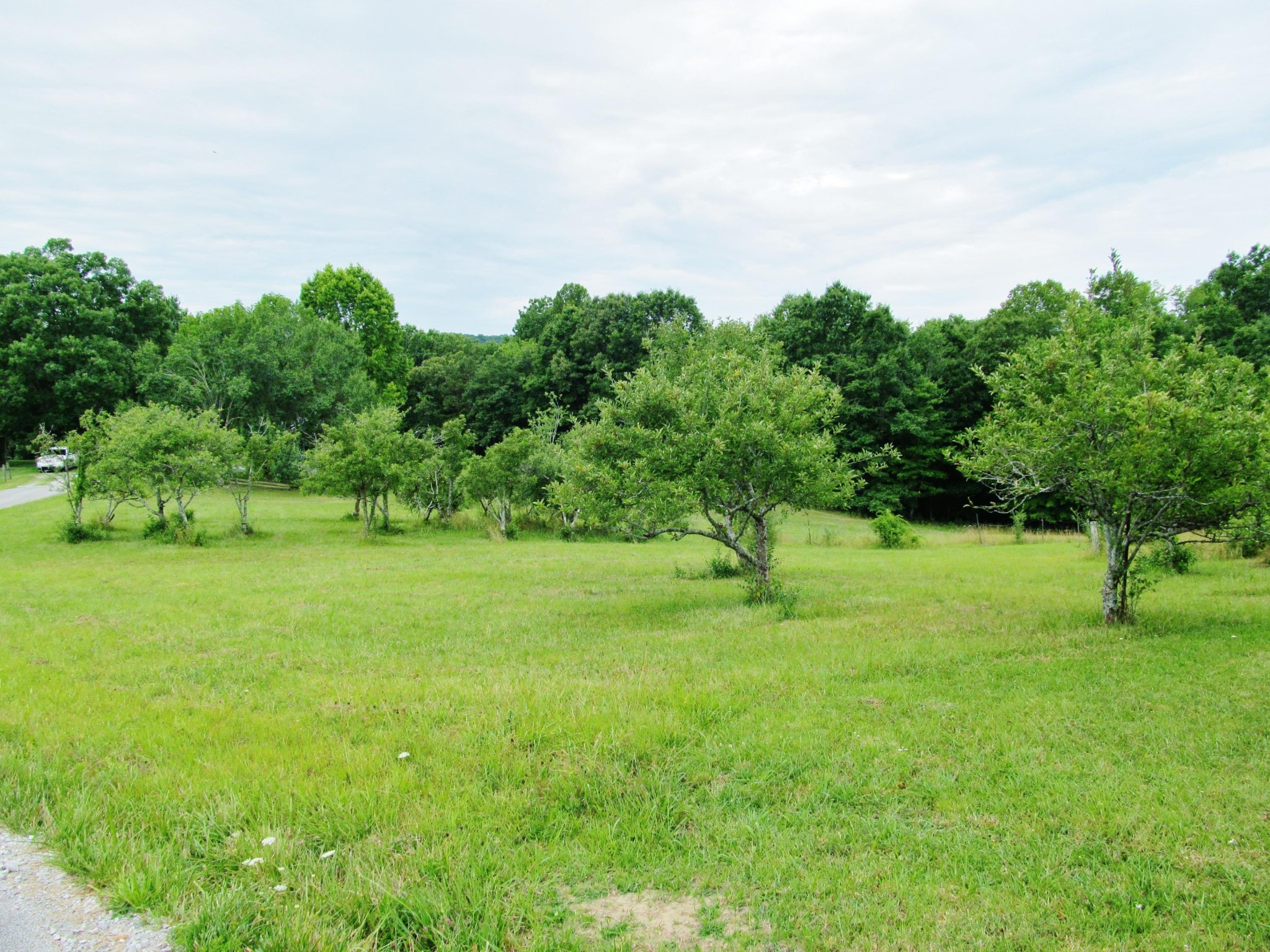 345 Landrum Hill Road Lancing, TN 37770 - Photo 29 of 37 a view of green field with trees in the background