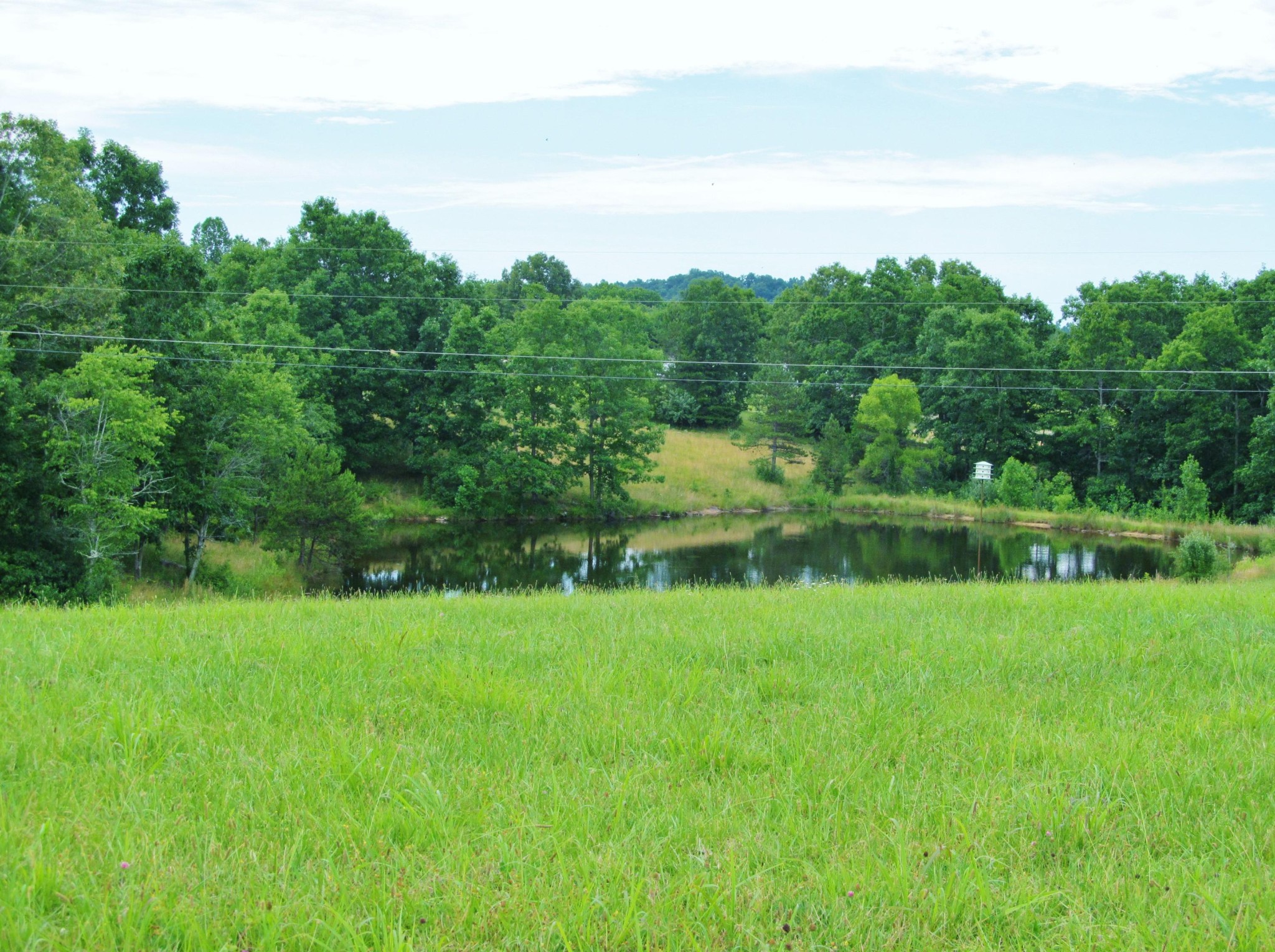 345 Landrum Hill Road Lancing, TN 37770 - Photo 3 of 37 a view of a lake with a big yard