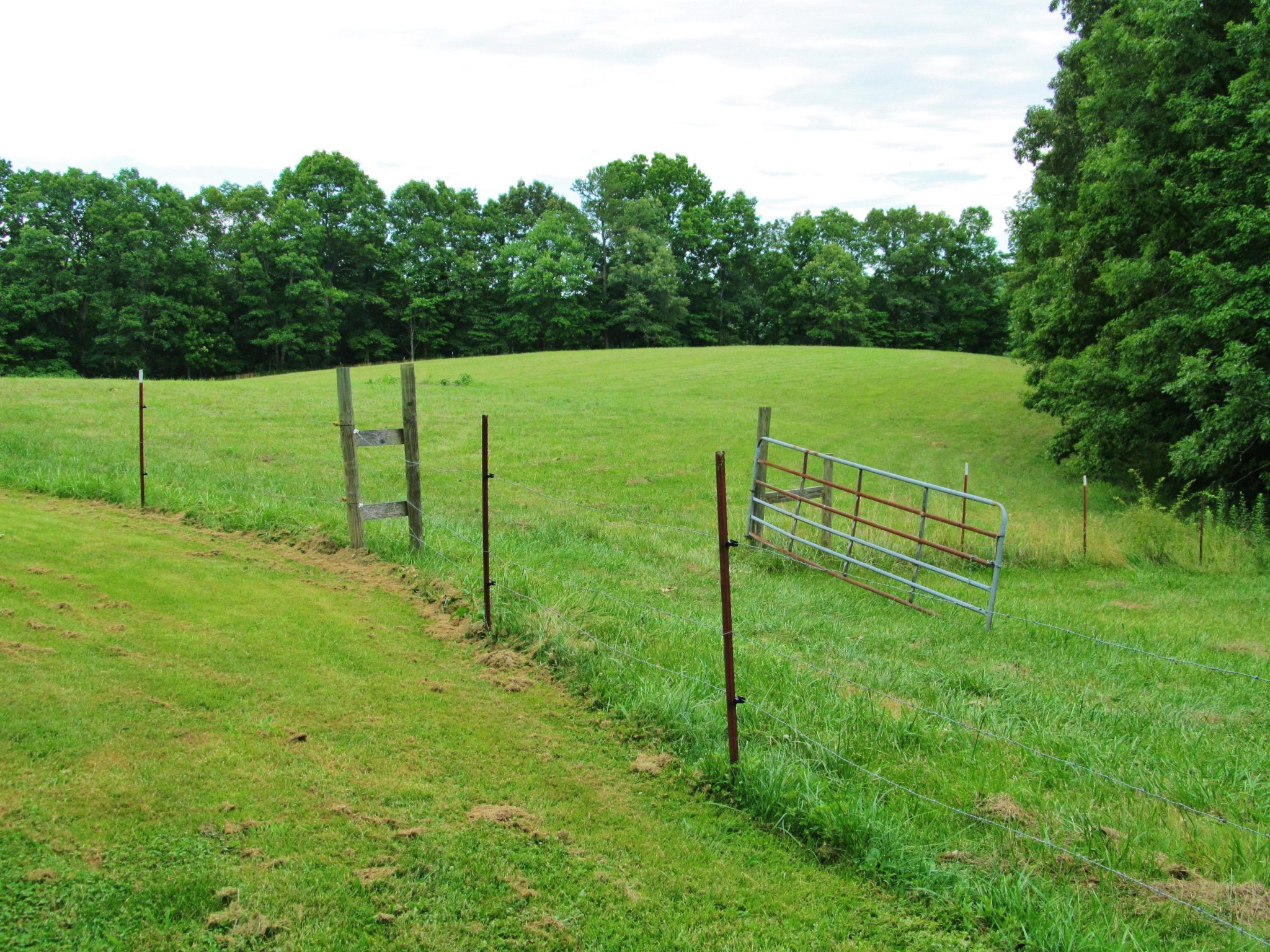 345 Landrum Hill Road Lancing, TN 37770 - Photo 31 of 37 a view of a field with grass