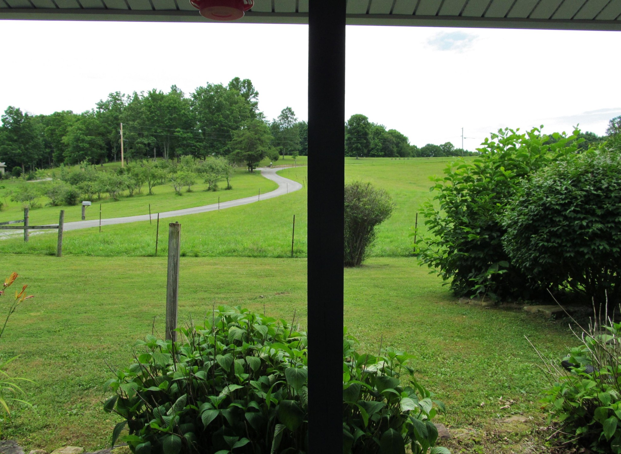 345 Landrum Hill Road Lancing, TN 37770 - Photo 33 of 37 a view of a big yard with large trees
