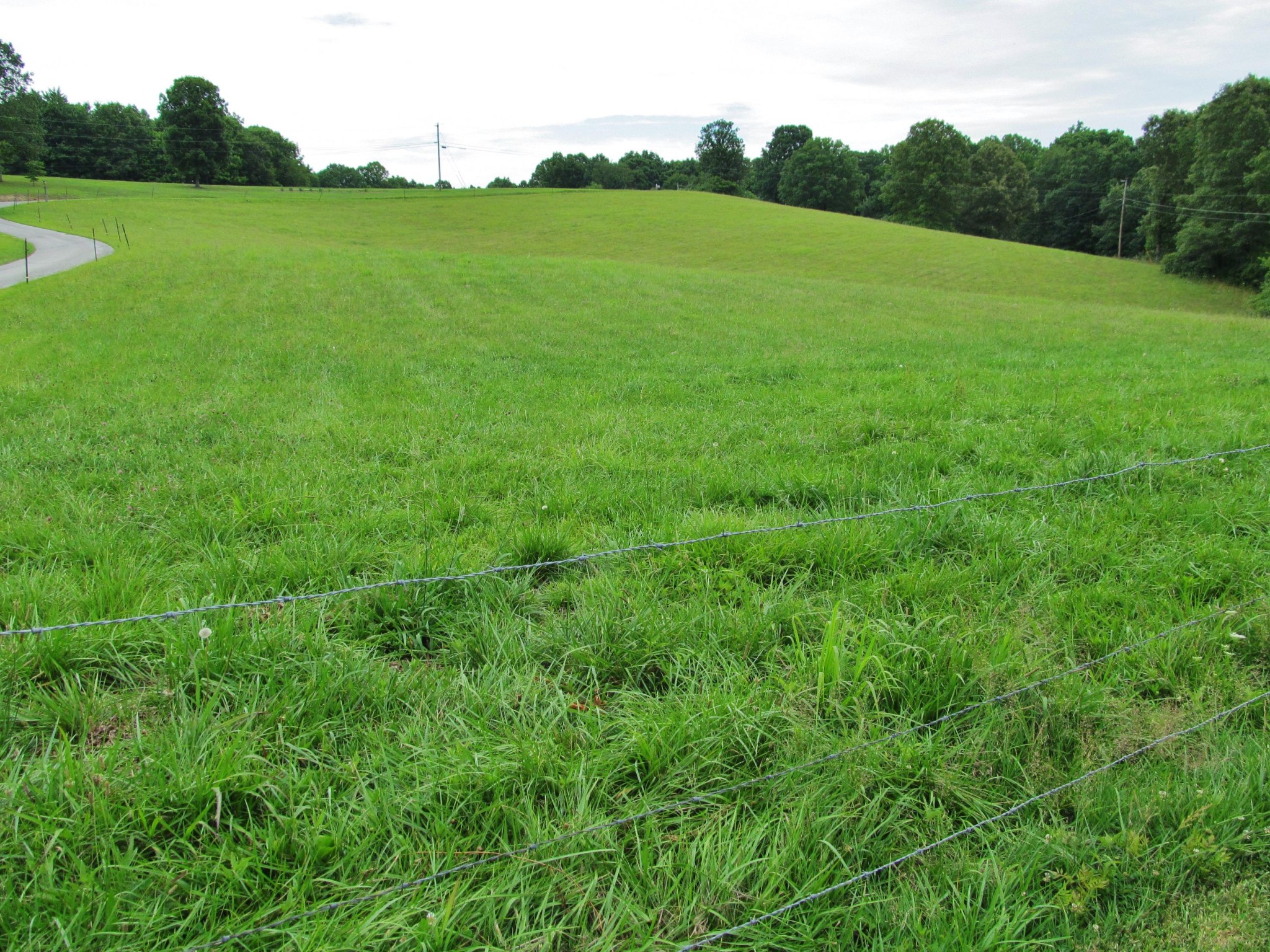 345 Landrum Hill Road Lancing, TN 37770 - Photo 36 of 37 a view of a field of grass and trees
