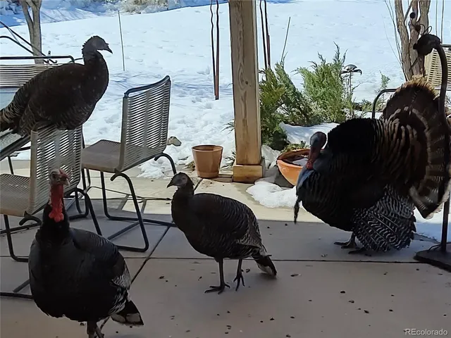 $1,350,000 | 15000 County Road 8, Fort Lupton, CO 80621