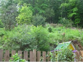 168 Cripple Creek Road Watauga, TN 37694 - Photo 18 of 24 Photo 18