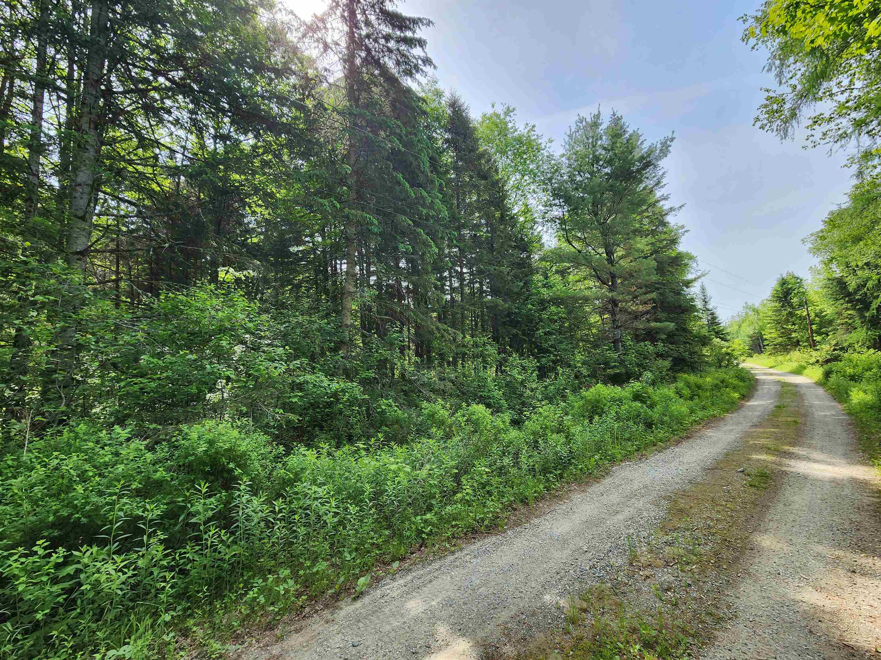 0 Boise Cascade Road Dummer, NH 03588 - Photo 2 of 17