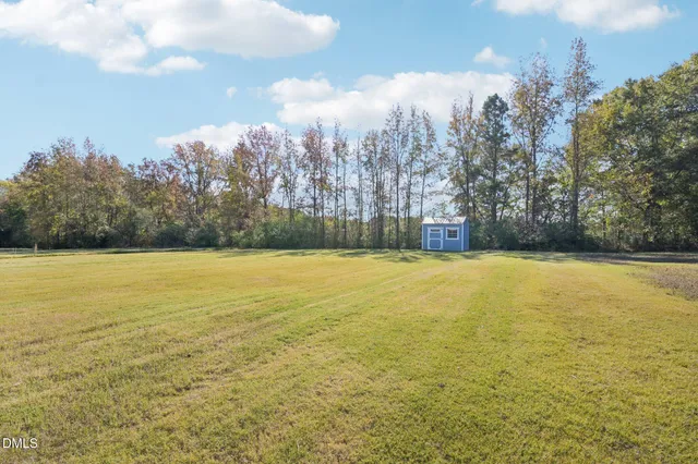 a view of a yard with trees in the background